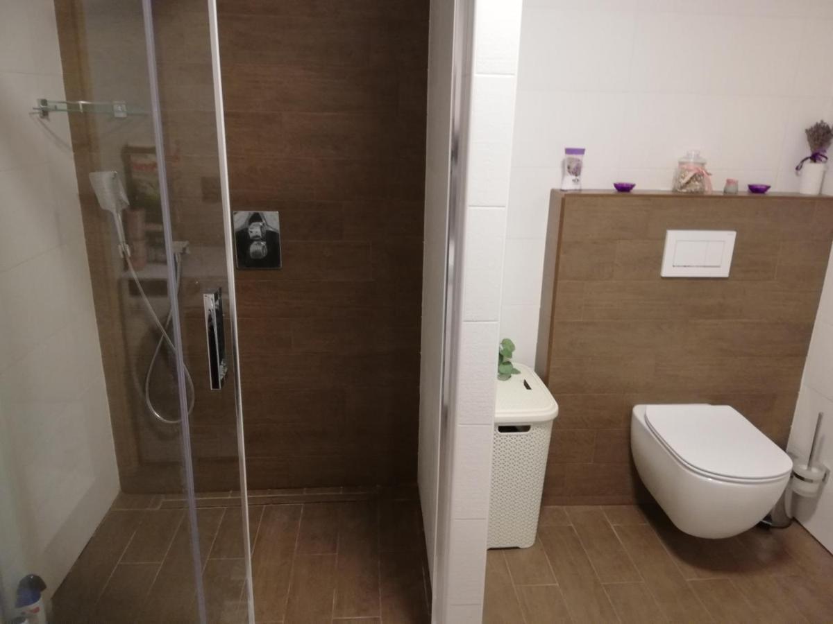 Apartman U Kartouzky Appartement Dolany  Buitenkant foto